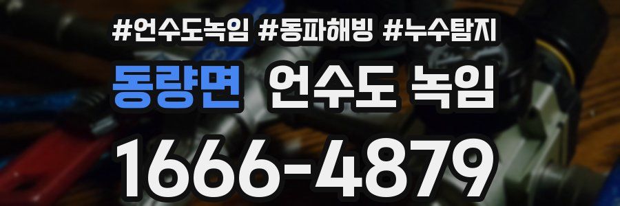 동량면 언수도 녹임