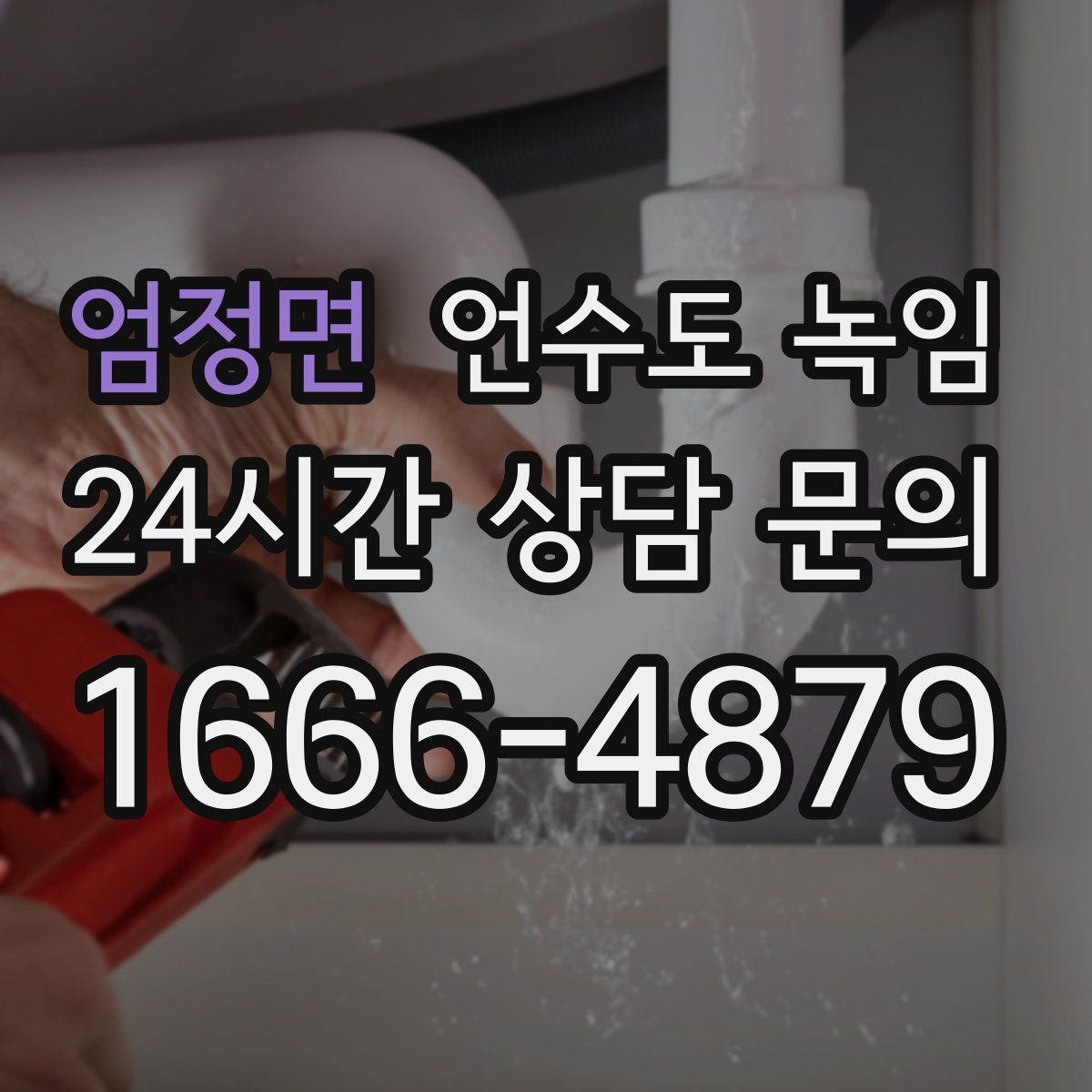 엄정면 언수도 녹임