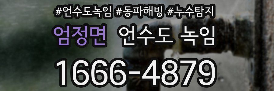 엄정면 언수도 녹임