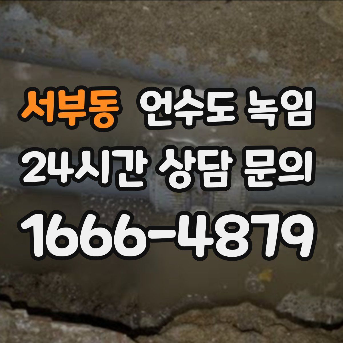 서부동 언수도 녹임