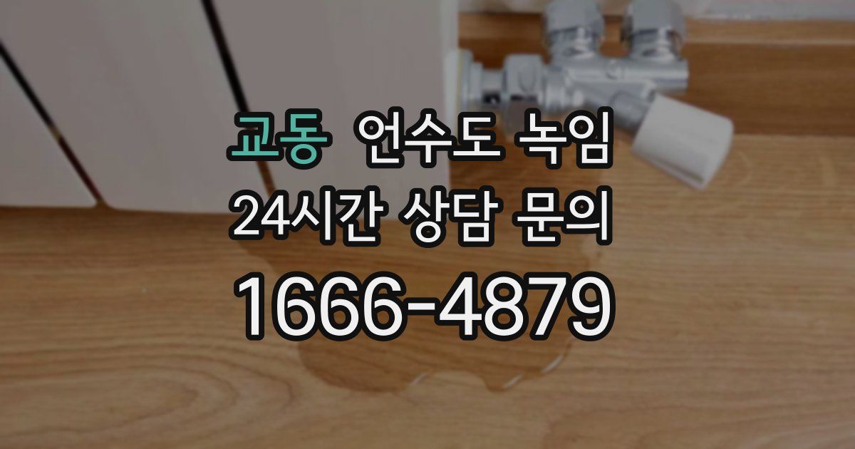 교동 언수도 녹임