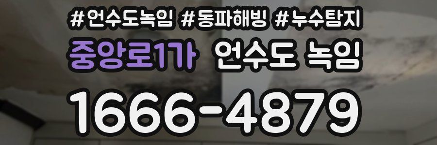 중앙로1가 언수도 녹임