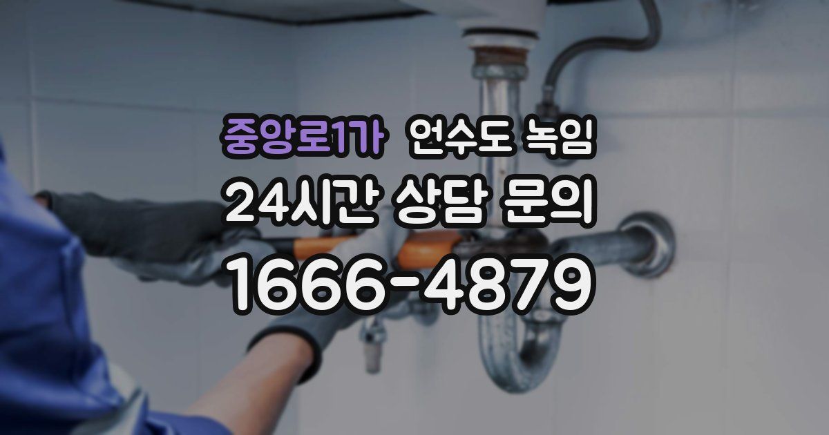 중앙로1가 언수도 녹임