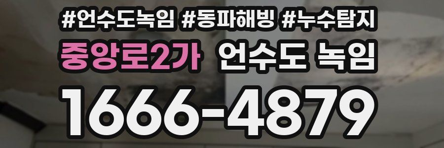 중앙로2가 언수도 녹임