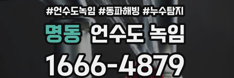 명동 언수도 녹임