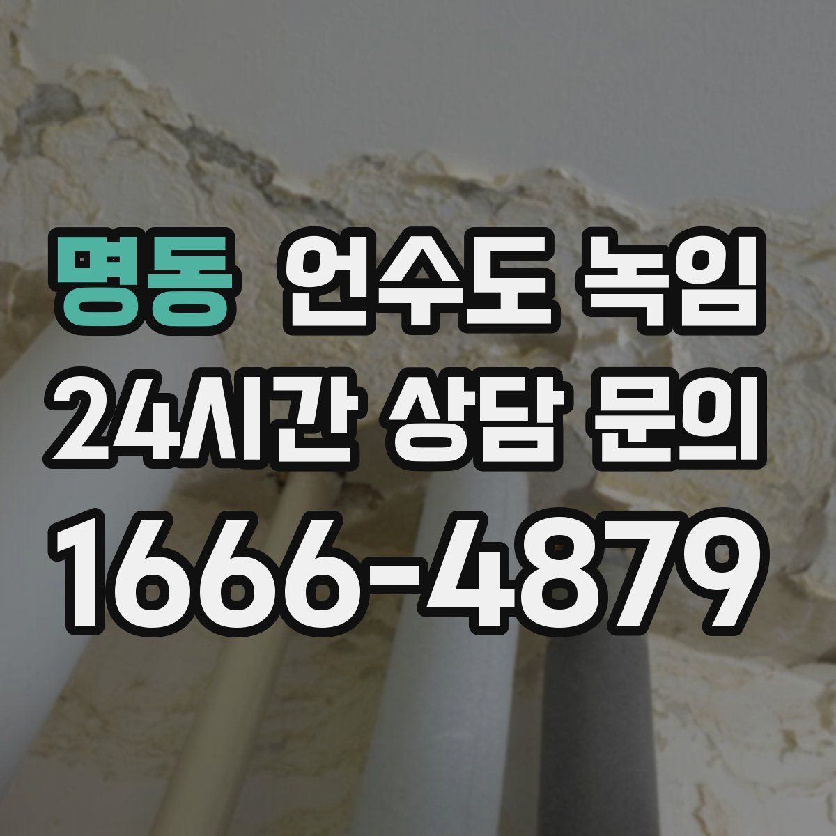 명동 언수도 녹임