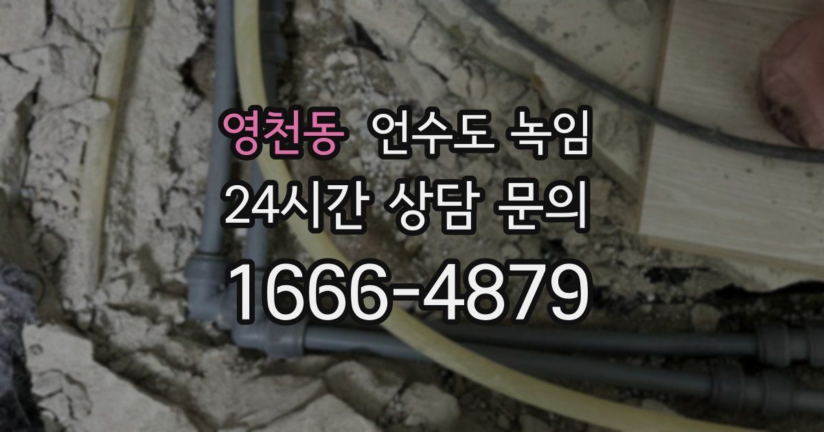 영천동 언수도 녹임