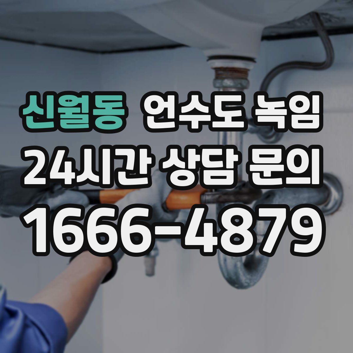 신월동 언수도 녹임