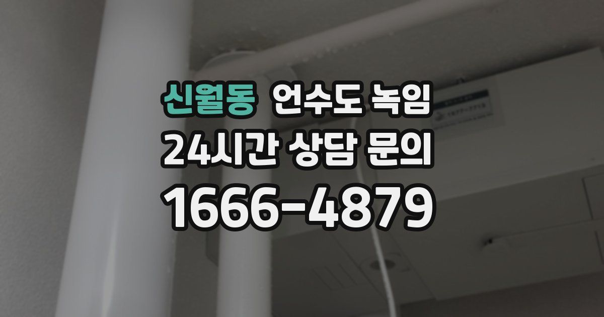 신월동 언수도 녹임