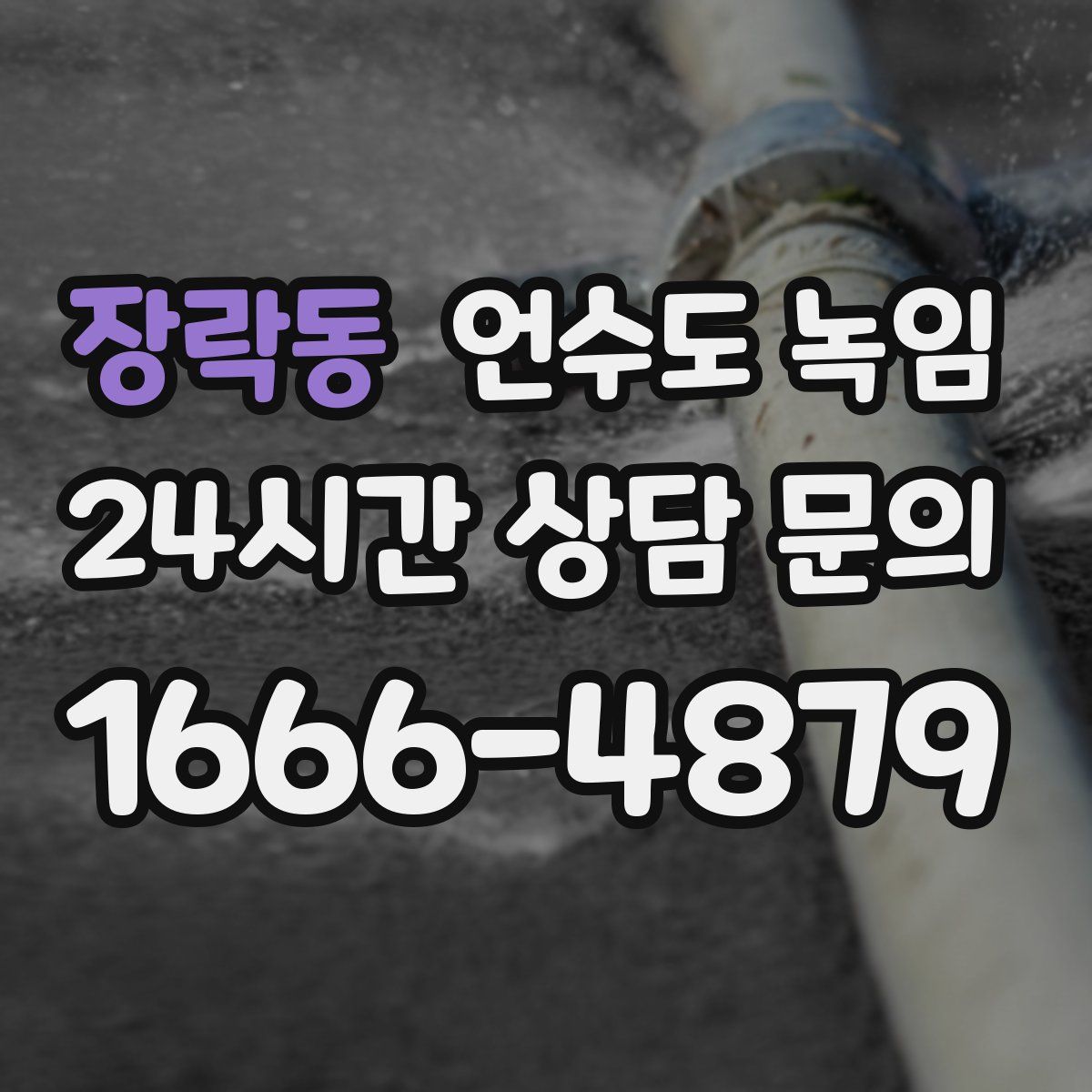 장락동 언수도 녹임