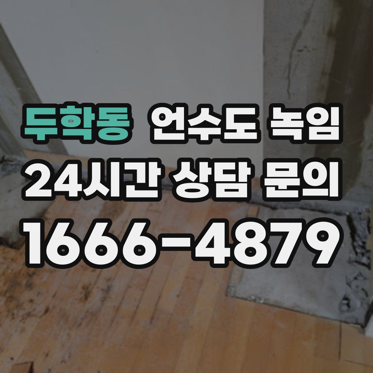 두학동 언수도 녹임