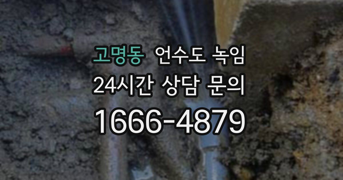 고명동 언수도 녹임