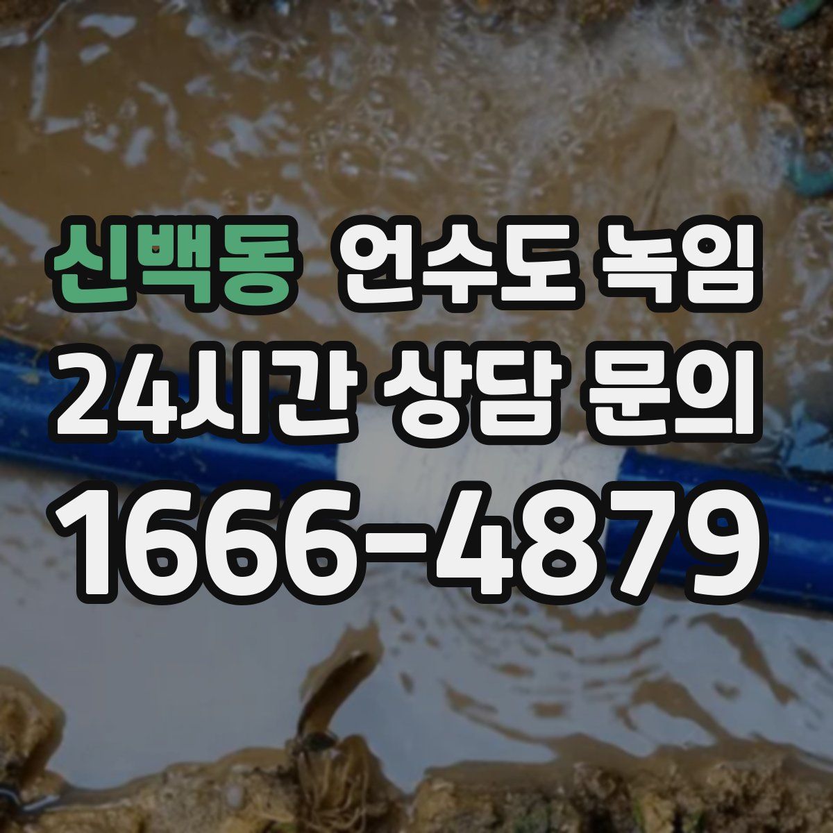 신백동 언수도 녹임