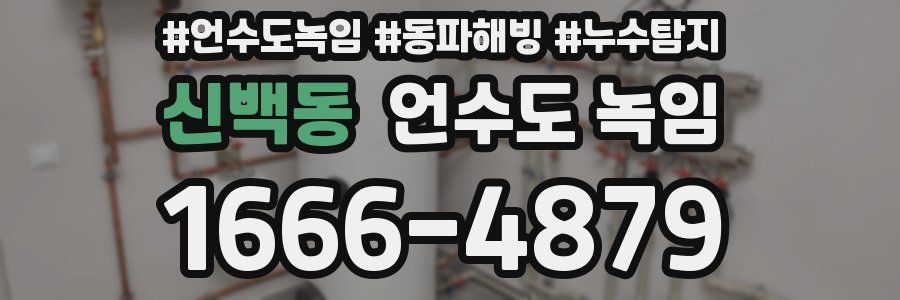 신백동 언수도 녹임