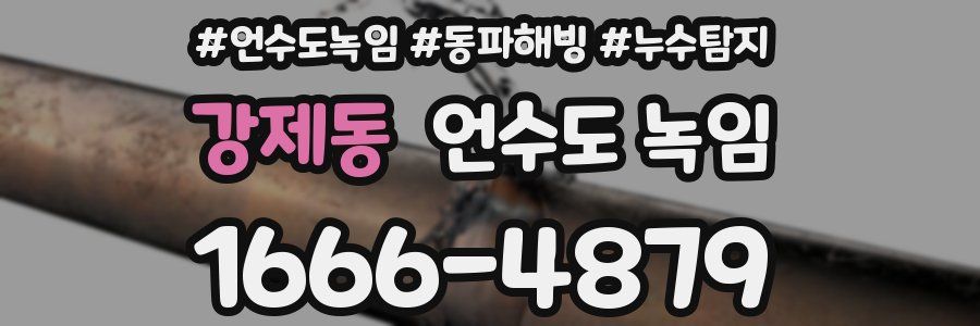 강제동 언수도 녹임