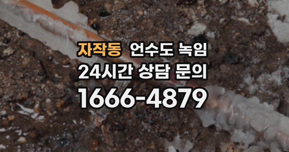 자작동 언수도 녹임