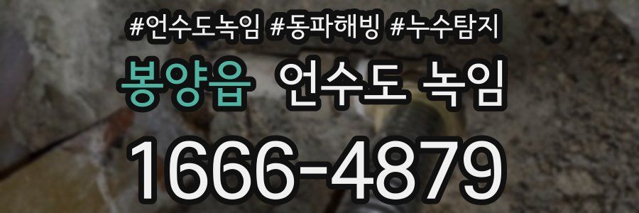 봉양읍 언수도 녹임