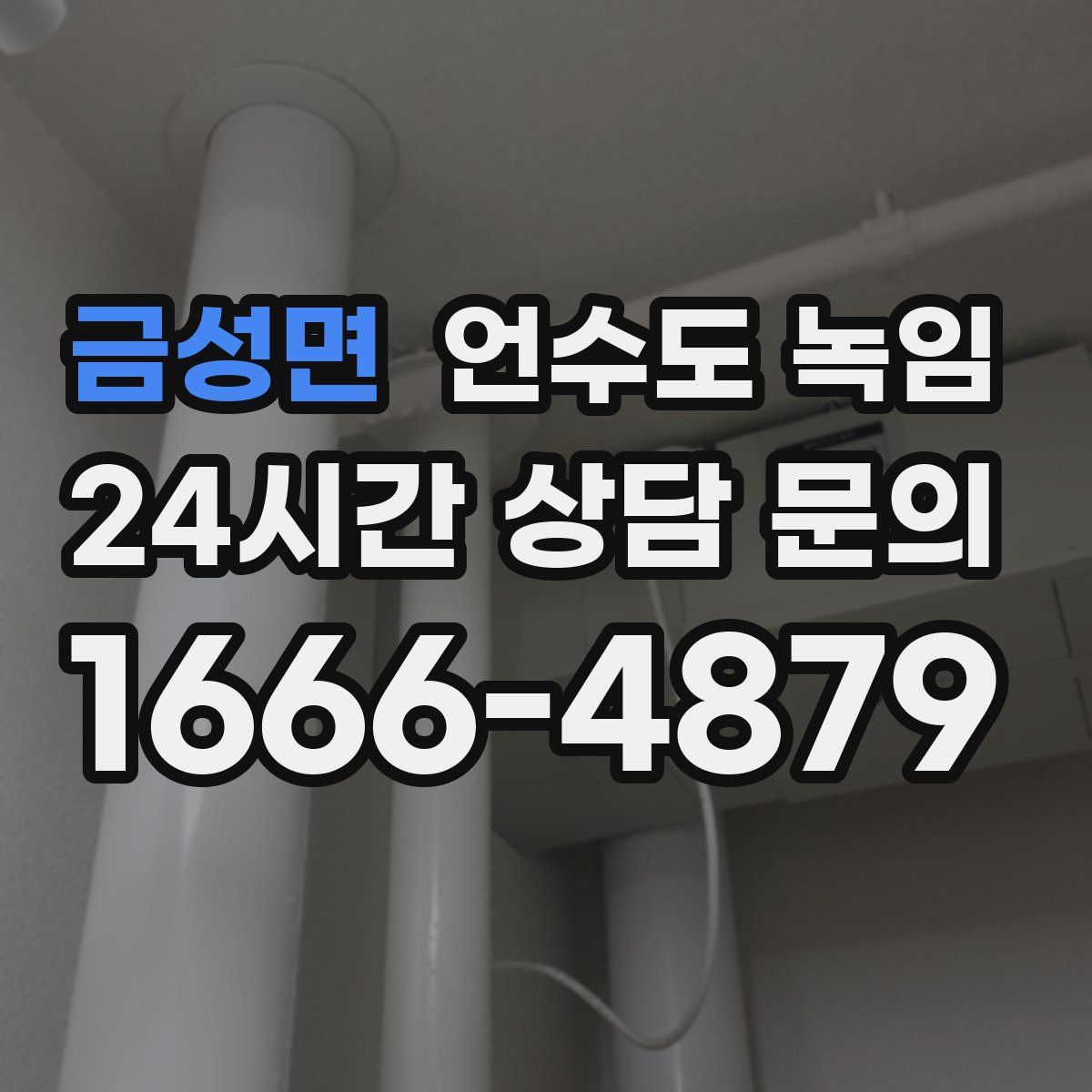 금성면 언수도 녹임