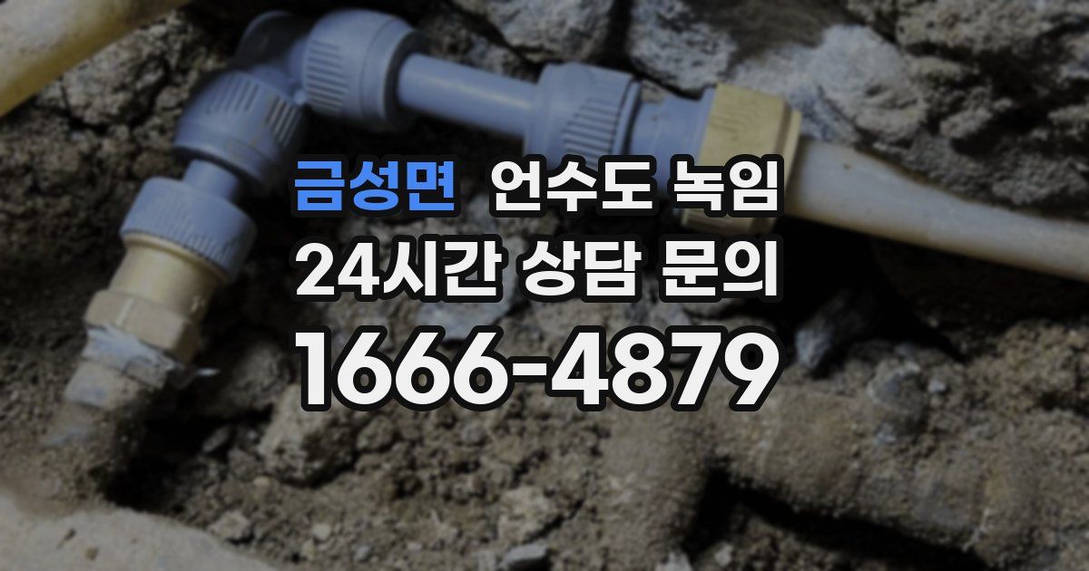 금성면 언수도 녹임