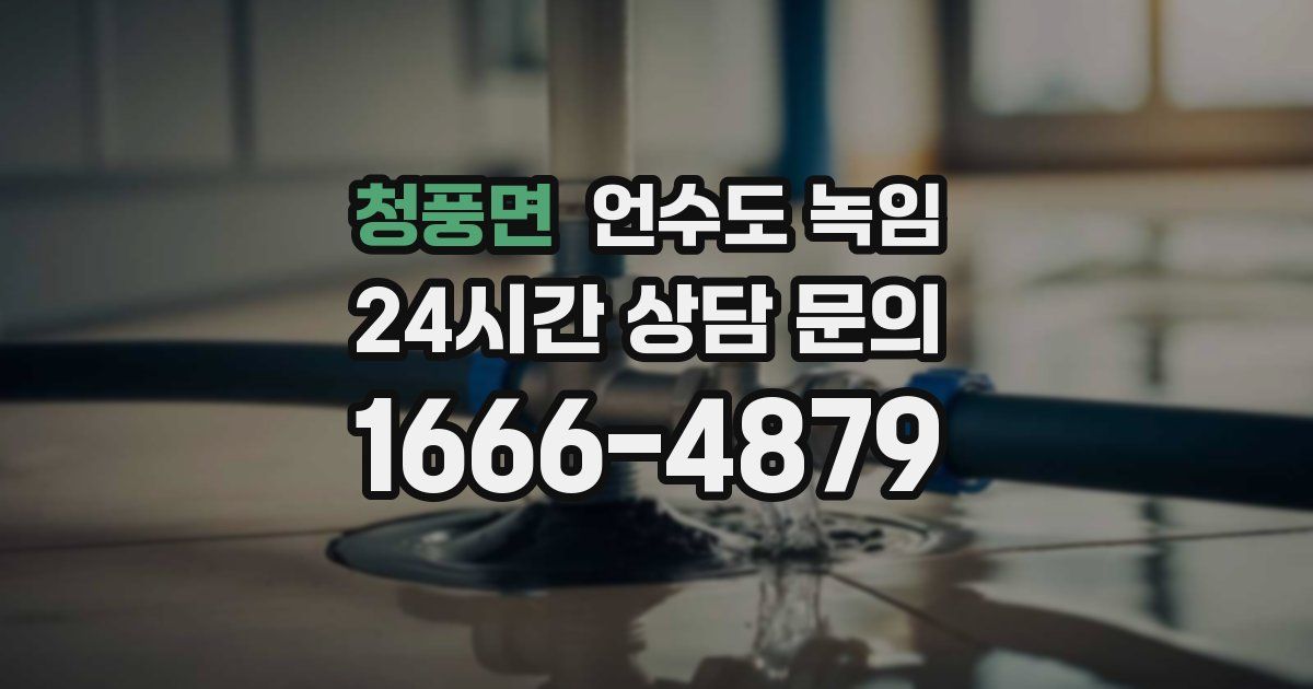 청풍면 언수도 녹임