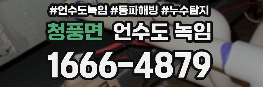 청풍면 언수도 녹임