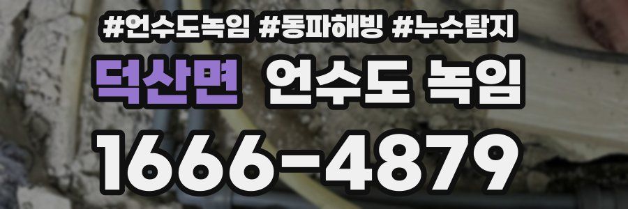 덕산면 언수도 녹임