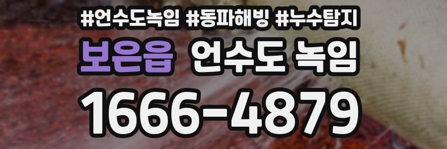 보은읍 언수도 녹임