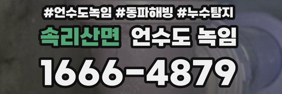 속리산면 언수도 녹임