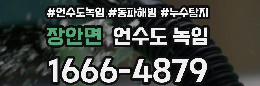 장안면 언수도 녹임