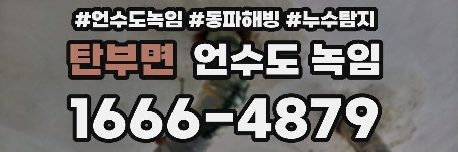 탄부면 언수도 녹임