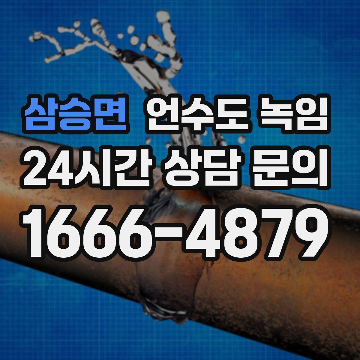 삼승면 언수도 녹임