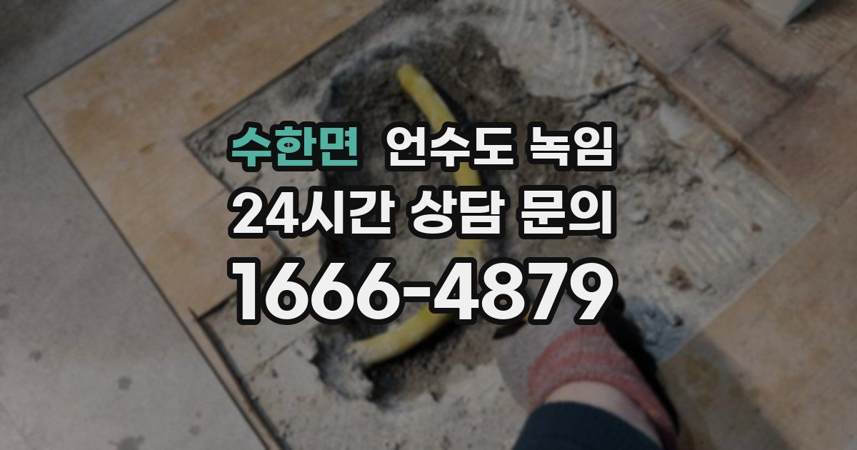수한면 언수도 녹임