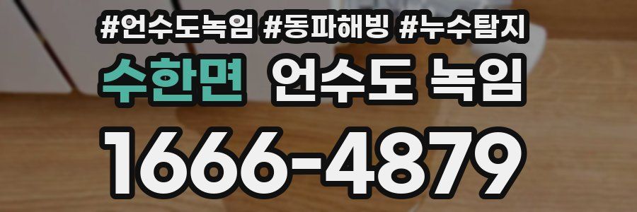 수한면 언수도 녹임