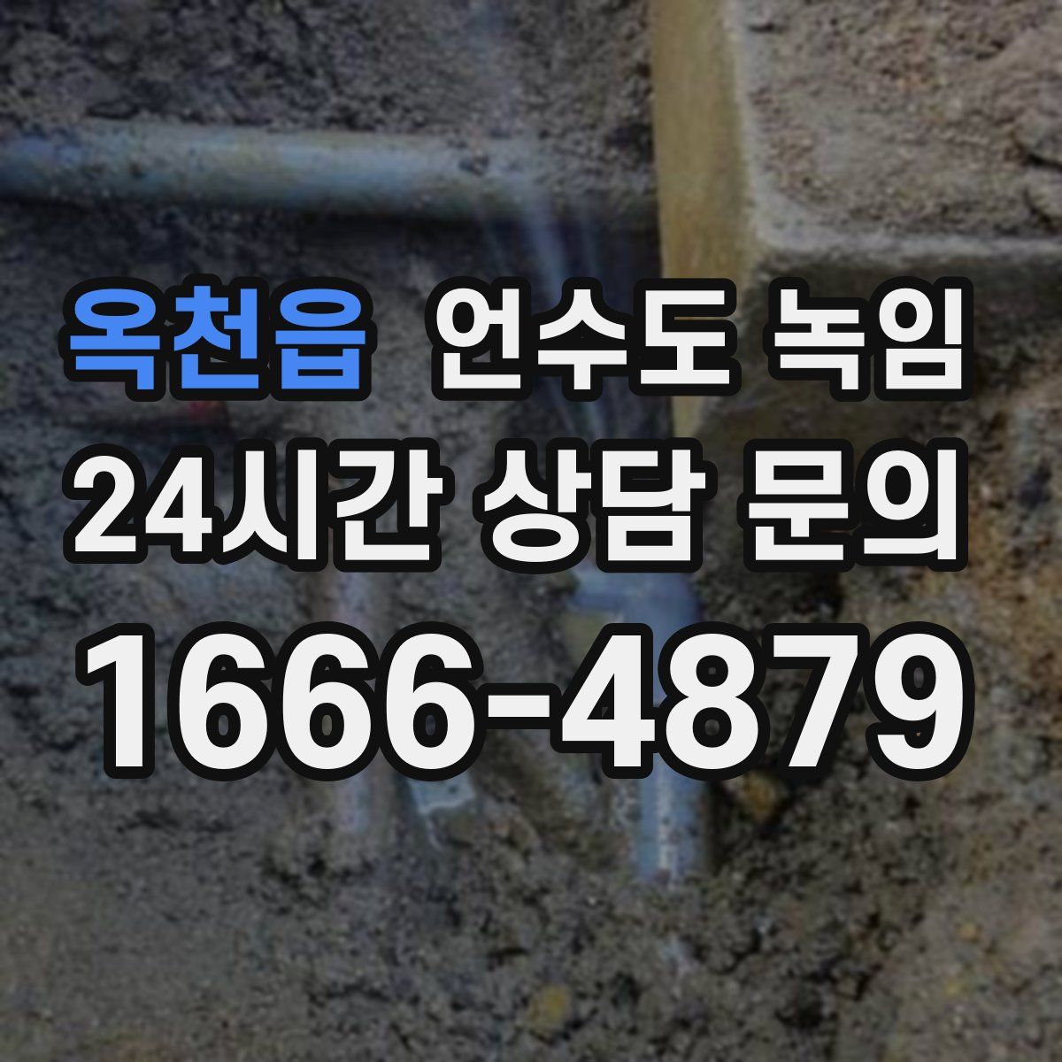 옥천읍 언수도 녹임