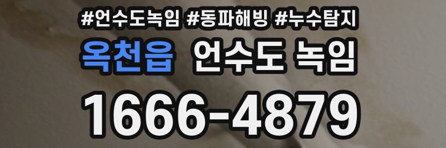 옥천읍 언수도 녹임