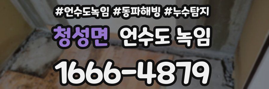 청성면 언수도 녹임