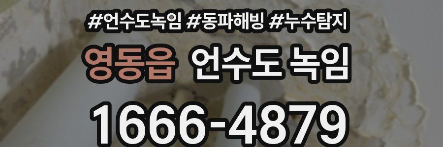 영동읍 언수도 녹임