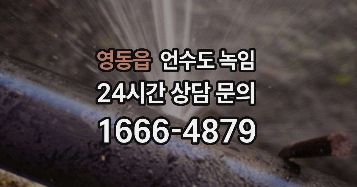 영동읍 언수도 녹임