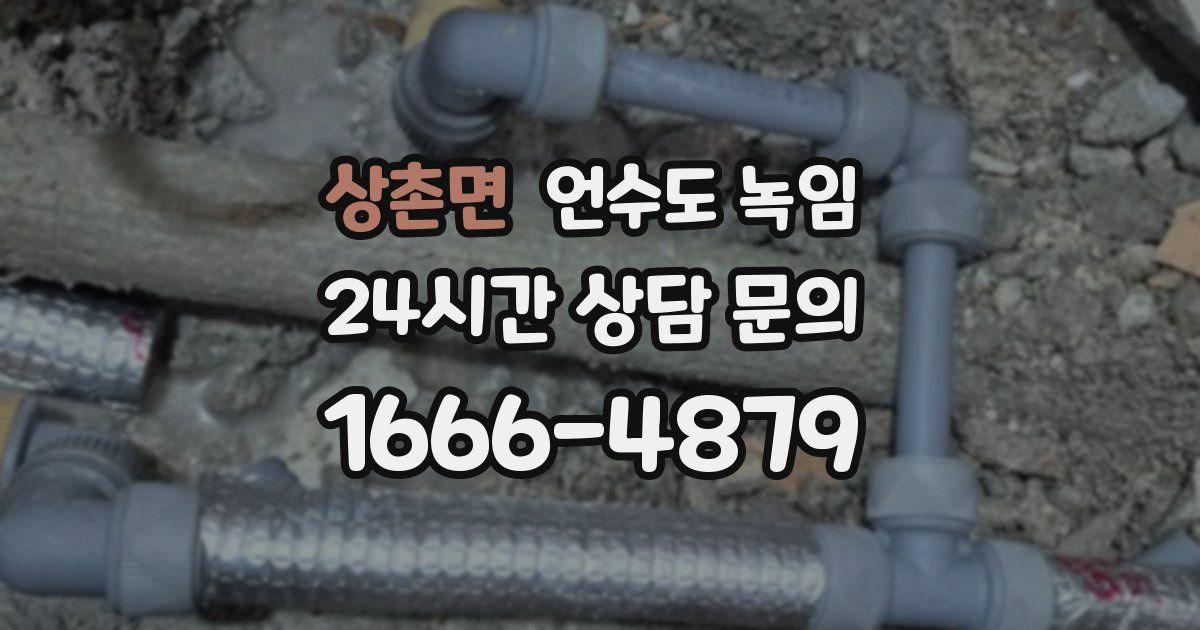 상촌면 언수도 녹임