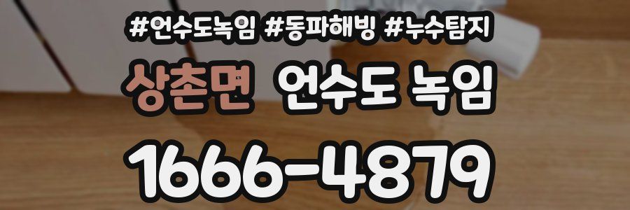 상촌면 언수도 녹임