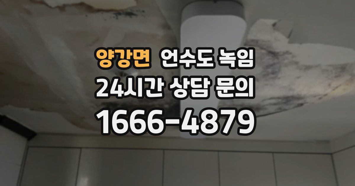 양강면 언수도 녹임