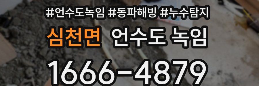 심천면 언수도 녹임