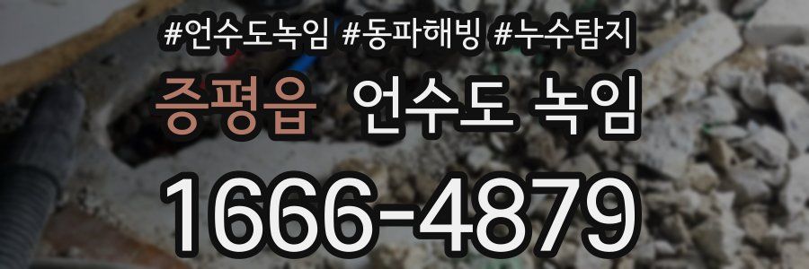 증평읍 언수도 녹임