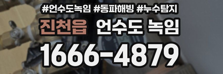 진천읍 언수도 녹임