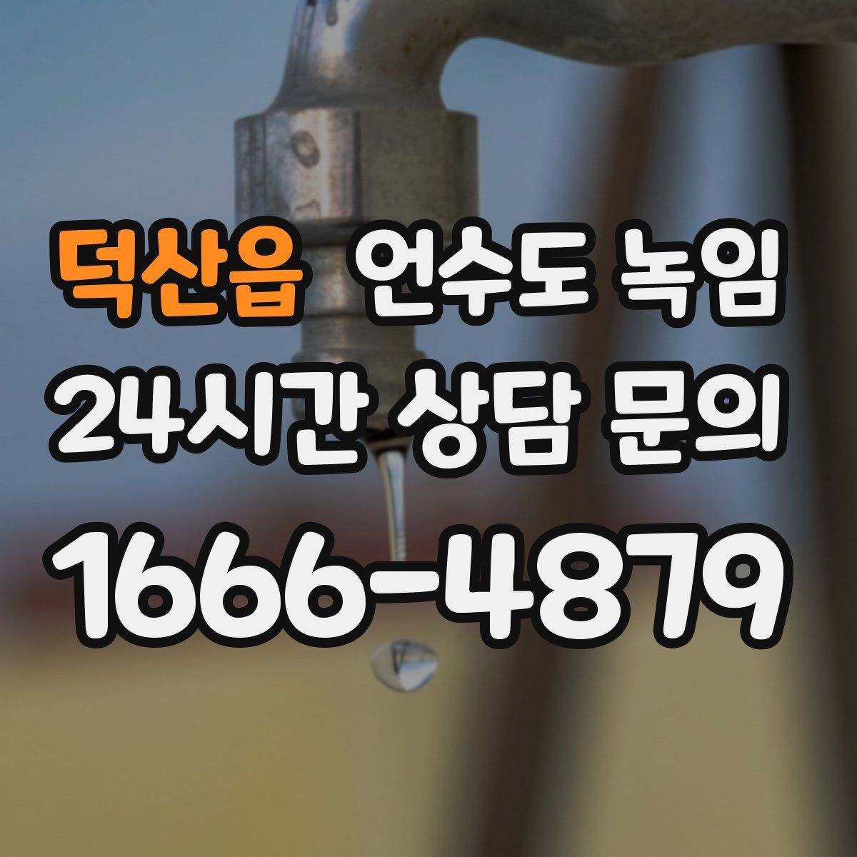 덕산읍 언수도 녹임