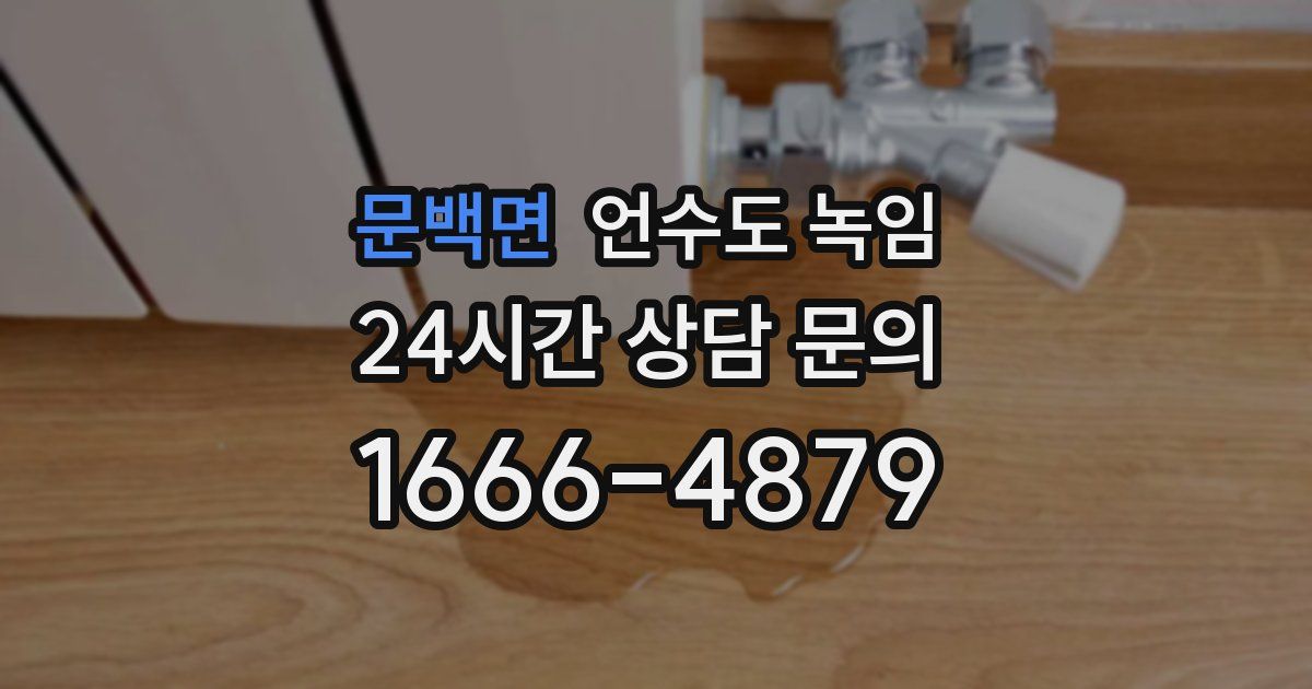 문백면 언수도 녹임