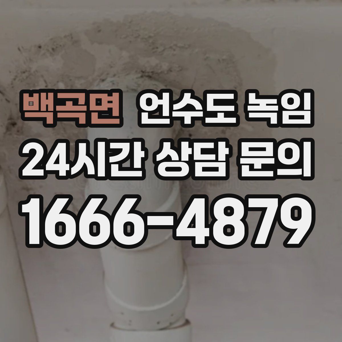 백곡면 언수도 녹임