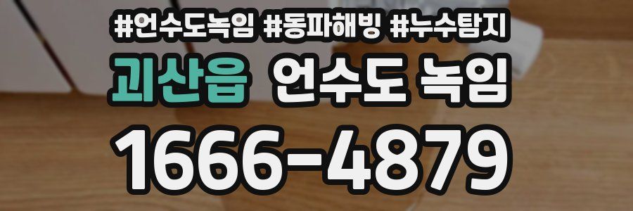 괴산읍 언수도 녹임