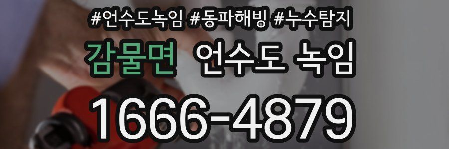 감물면 언수도 녹임