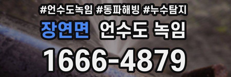 장연면 언수도 녹임